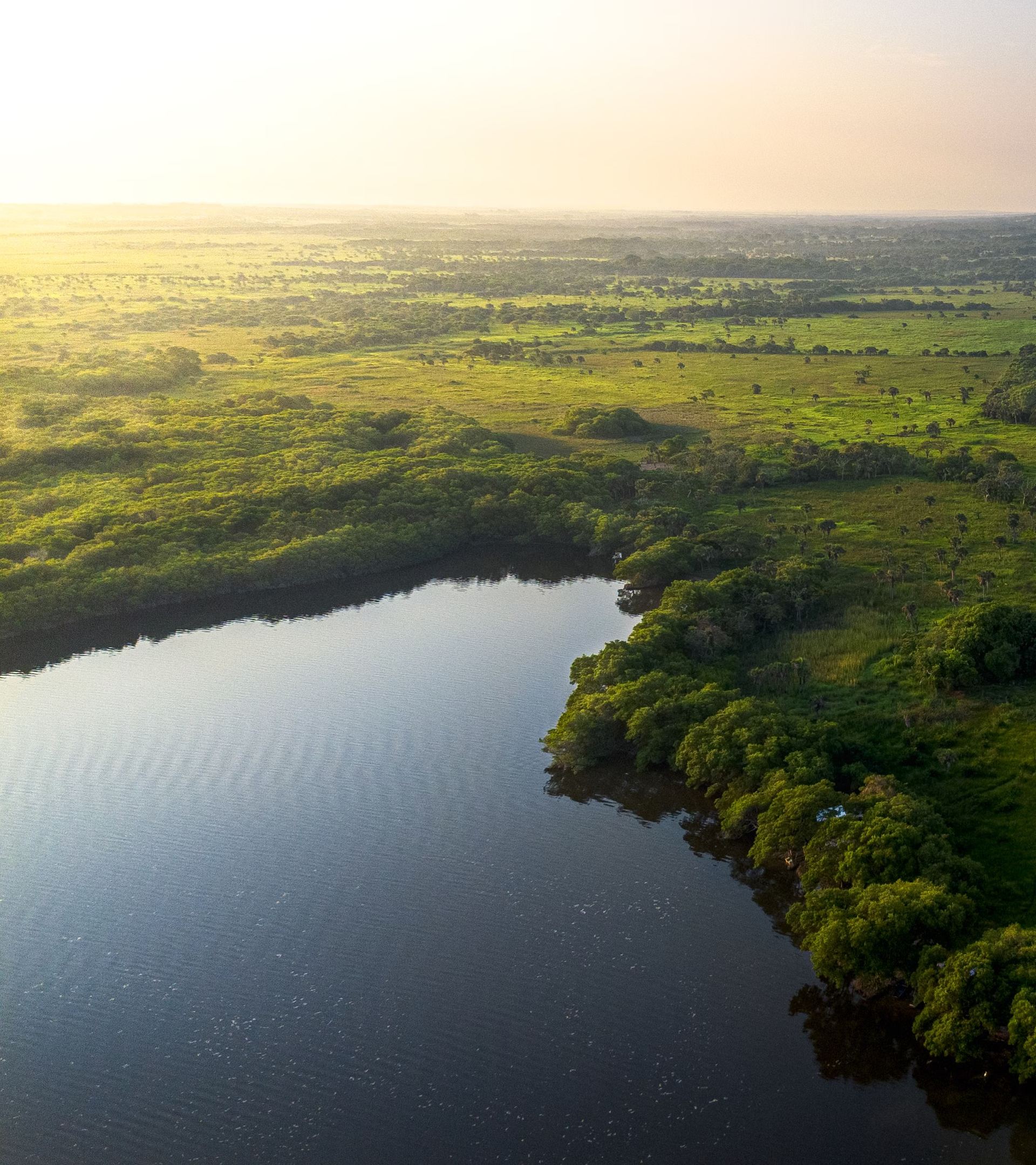 Llanos Orientales